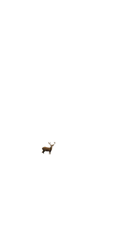 Autumn Deer Scene Vinyl Car Decal Sticker – Waterproof & UV-Resistant 8"