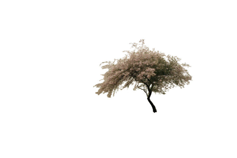 Moody Blooming Tree Vinyl Car Decal Sticker – Waterproof & UV-Resistant 8"