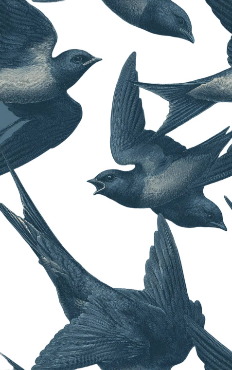 Beautiful Swallow Vinyl Car Decal Sticker – Waterproof & UV-Resistant 8"