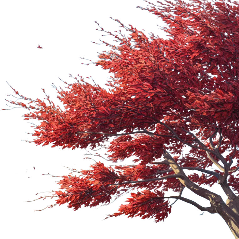 Redpointe Maple Vinyl Car Decal Sticker – Waterproof & UV-Resistant 8"