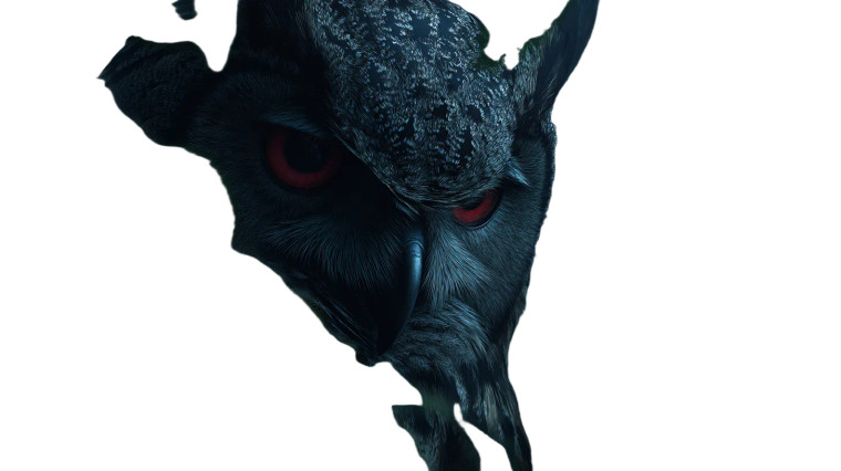 Mysterious Owl Creature Vinyl Car Decal Sticker – Waterproof & UV-Resistant 8"