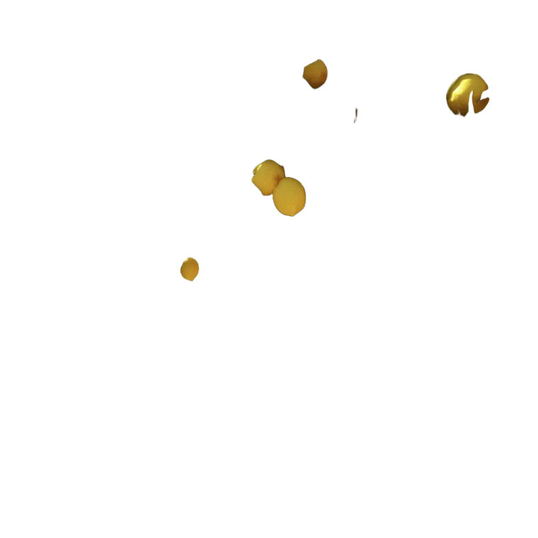 Sunlit Trees Vinyl Car Decal Sticker – Waterproof & UV-Resistant 8"