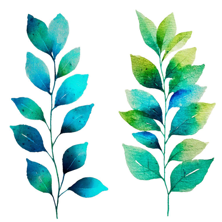 Watercolor Leaves Vinyl Car Decal Sticker – Waterproof & UV-Resistant 8"