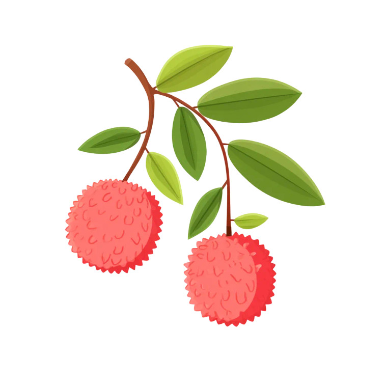 Red Lychee Illustration Vinyl Car Decal Sticker – Waterproof & UV-Resistant 8"