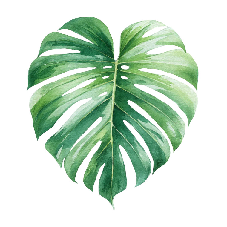 Tropical Monstera Leaf Vinyl Car Decal Sticker – Waterproof & UV-Resistant 8"