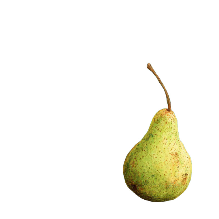 Solitary Pear Vinyl Car Decal Sticker – Waterproof & UV-Resistant 8"