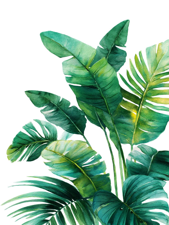 Tropical Leaves Vinyl Car Decal Sticker – Waterproof & UV-Resistant 8"