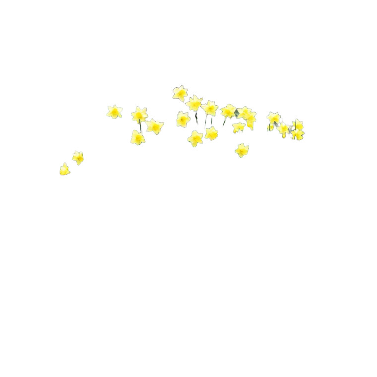 Daffodils By Stream Vinyl Car Decal Sticker – Waterproof & UV-Resistant 8"