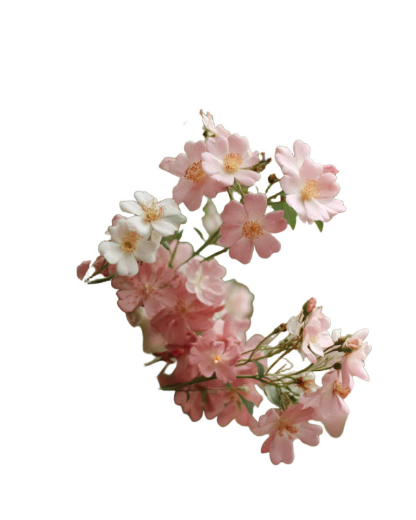 Pink Flower Bushes Vinyl Car Decal Sticker – Waterproof & UV-Resistant 8"