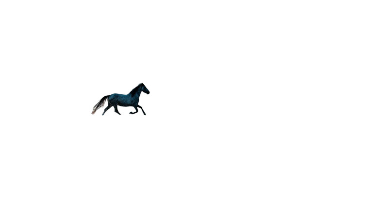 Galloping Ocean Horse Vinyl Car Decal Sticker – Waterproof & UV-Resistant 8"