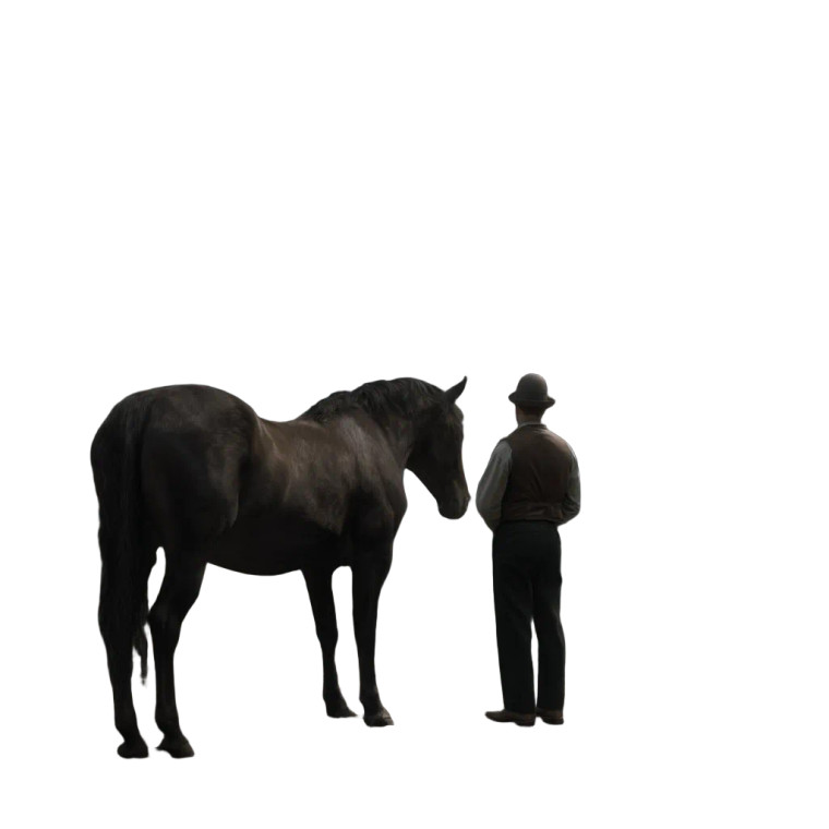 Man With Horse Vinyl Car Decal Sticker – Waterproof & UV-Resistant 8"