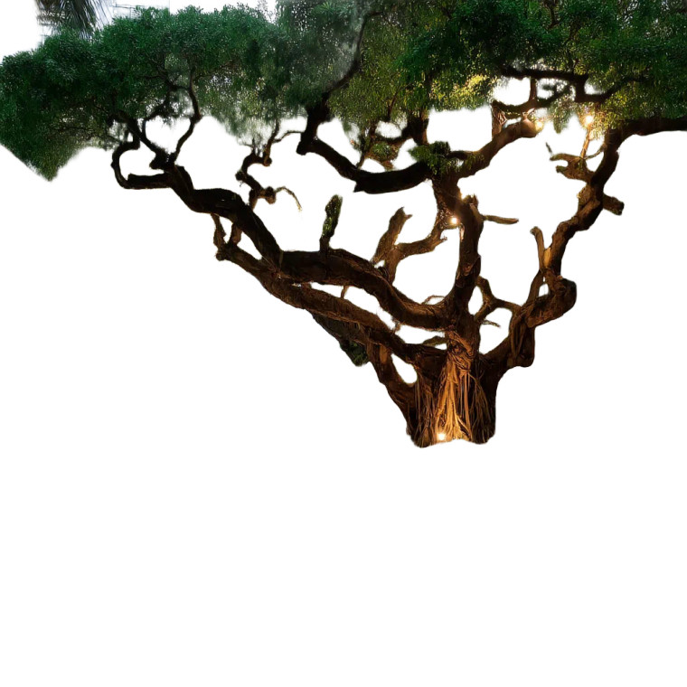 Banyan Tree Night Vinyl Car Decal Sticker – Waterproof & UV-Resistant 8"