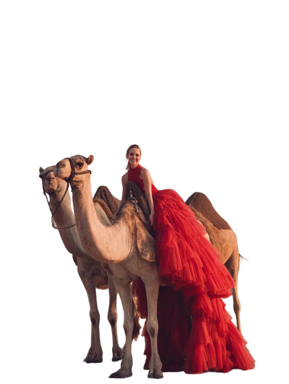 Glamorous Camel Model Vinyl Car Decal Sticker – Waterproof & UV-Resistant 8"