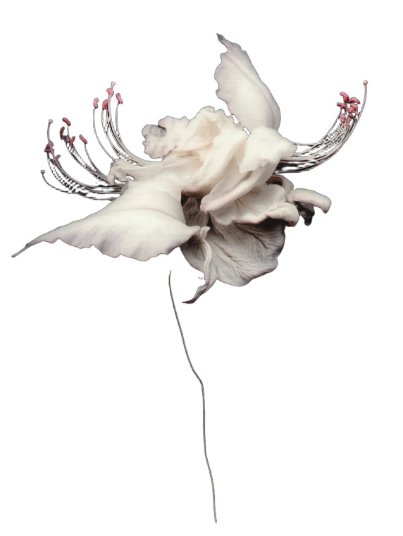 Blooming Floral Dream Vinyl Car Decal Sticker – Waterproof & UV-Resistant 8"