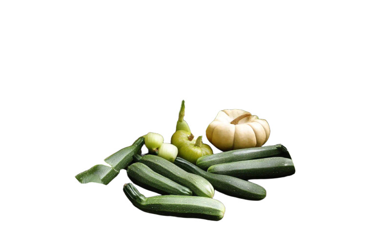 Garden Vegetables Vinyl Car Decal Sticker – Waterproof & UV-Resistant 8"