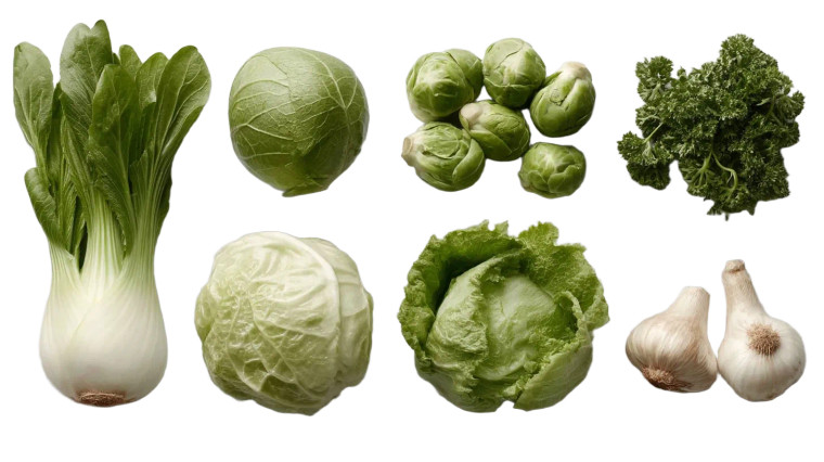 Fresh Vegetables V2 Vinyl Car Decal Sticker – Waterproof & UV-Resistant 8"