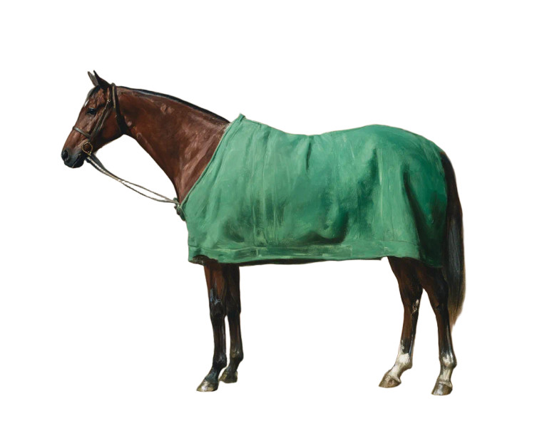 Bay Thoroughbred Horse Vinyl Car Decal Sticker – Waterproof & UV-Resistant 8"