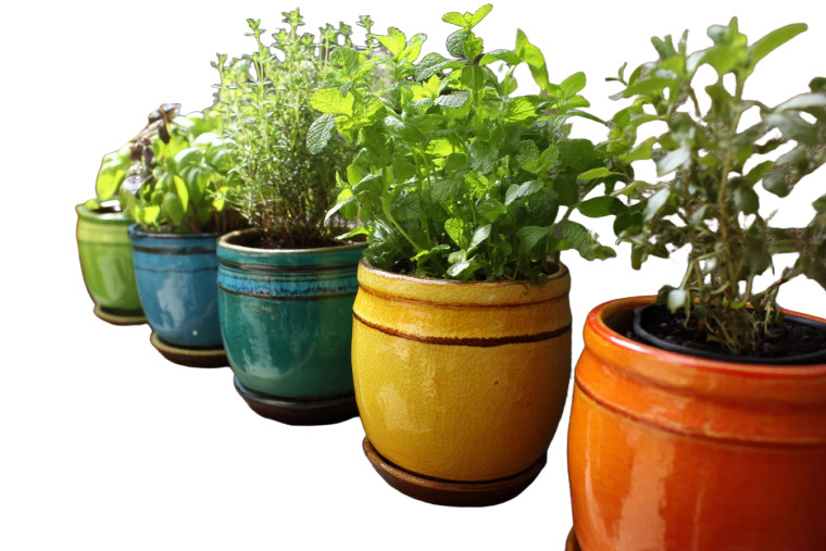 Balcony Herb Pots Vinyl Car Decal Sticker – Waterproof & UV-Resistant 8"