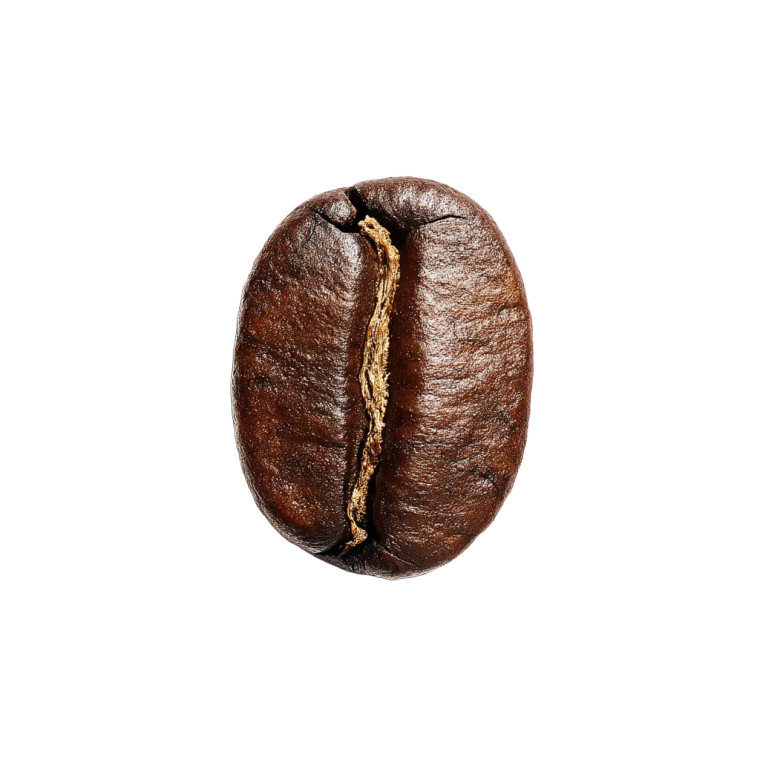 Coffee Bean Vinyl Car Decal Sticker – Waterproof & UV-Resistant 8"