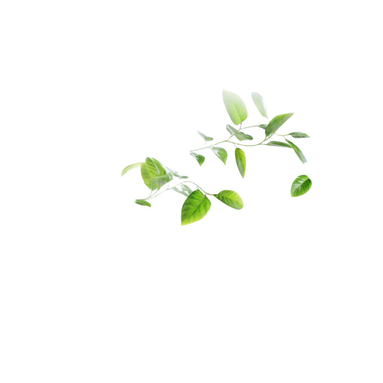 Floating Green Plants Vinyl Car Decal Sticker – Waterproof & UV-Resistant 8"