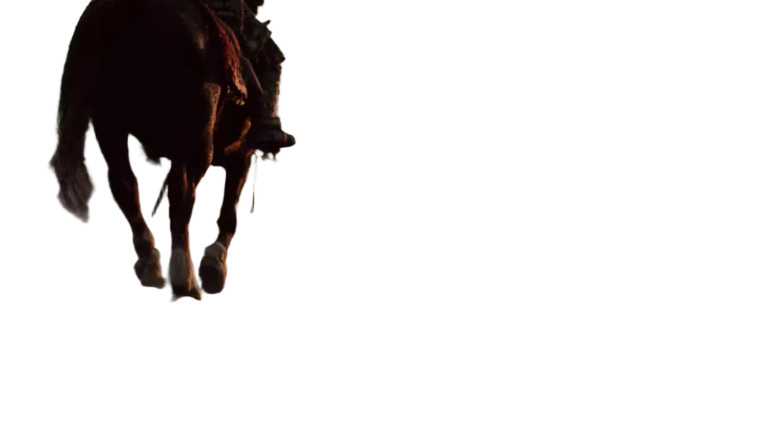 Epic Cavalry Charge Vinyl Car Decal Sticker – Waterproof & UV-Resistant 8"