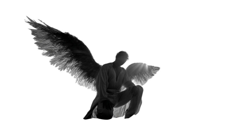 Flying Angel V9 Vinyl Car Decal Sticker – Waterproof & UV-Resistant 8"
