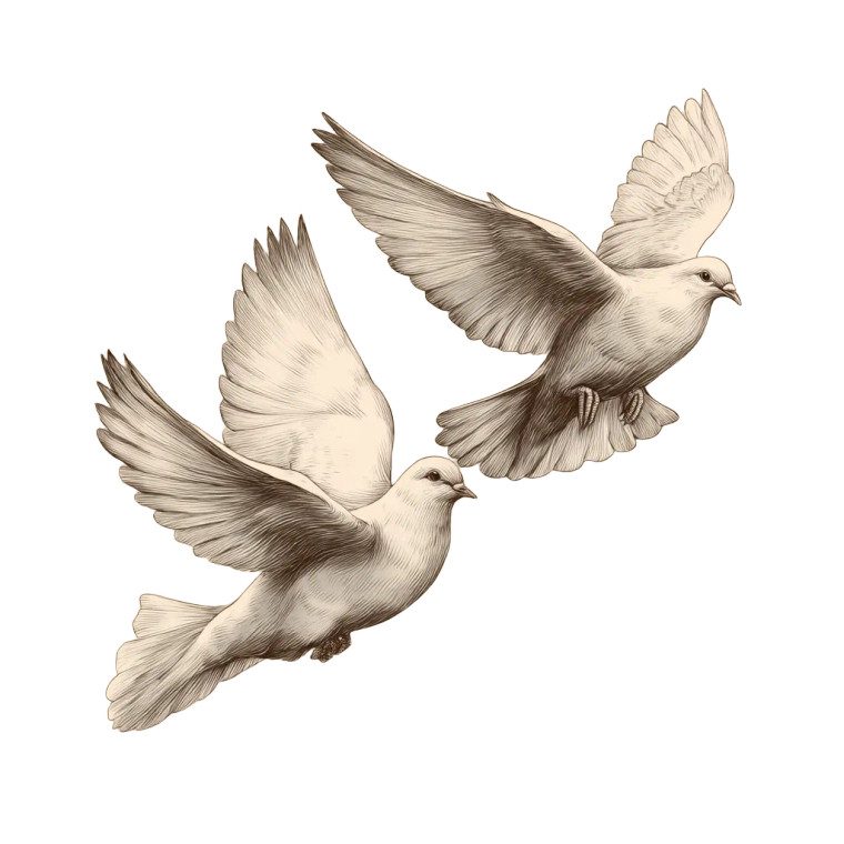 Flying Doves Drawing Vinyl Car Decal Sticker – Waterproof & UV-Resistant 8"