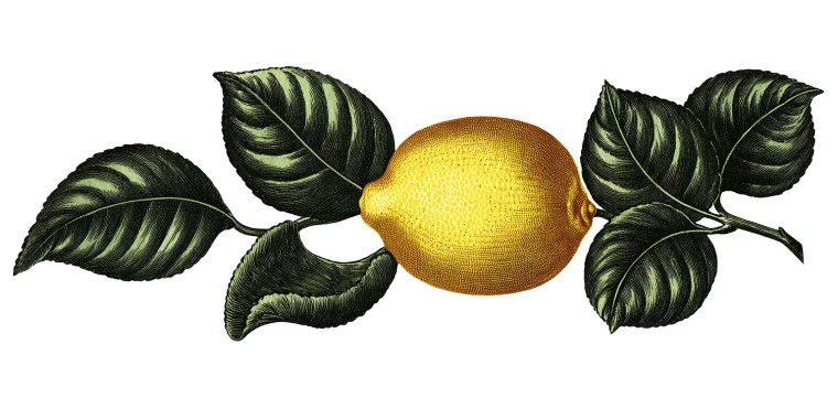 Vintage Lemon Illustration Vinyl Car Decal Sticker – Waterproof & UV-Resistant 8"