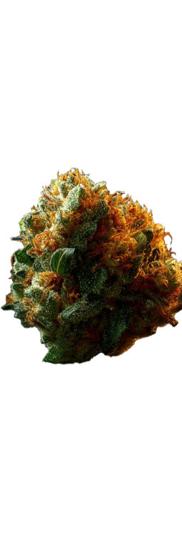 Cannabis Bud V4 Vinyl Car Decal Sticker – Waterproof & UV-Resistant 8"