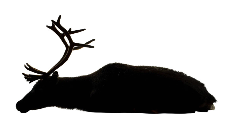 Dead Reindeer Silhouette Vinyl Car Decal Sticker – Waterproof & UV-Resistant 8"