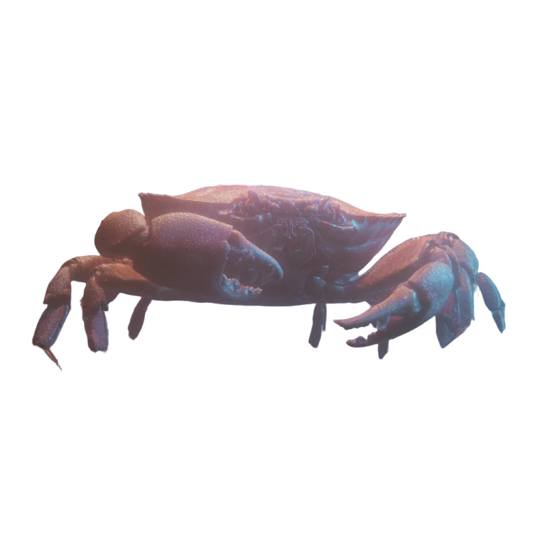 Circuitry Crab Vinyl Car Decal Sticker – Waterproof & UV-Resistant 8"