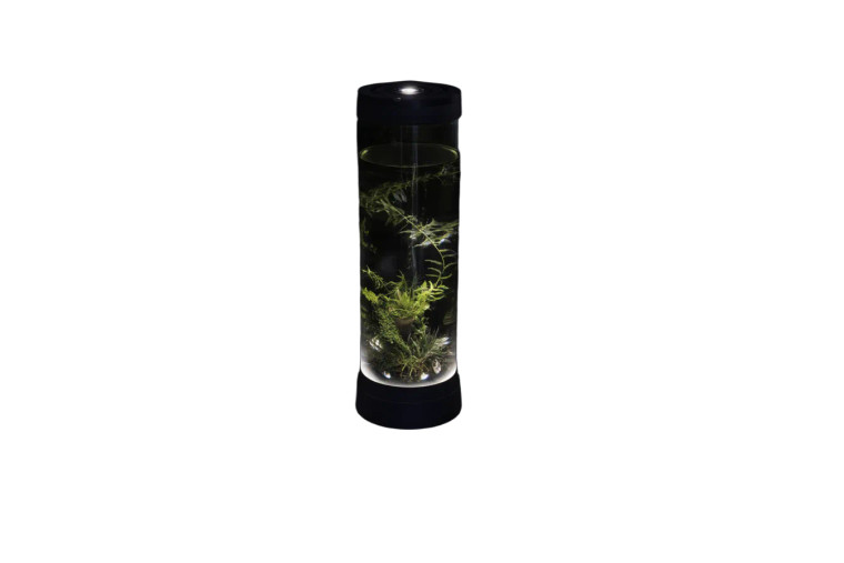 Illuminated Terrarium Vinyl Car Decal Sticker – Waterproof & UV-Resistant 8"