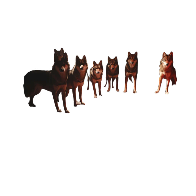 Wolves At Fire Vinyl Car Decal Sticker – Waterproof & UV-Resistant 8"
