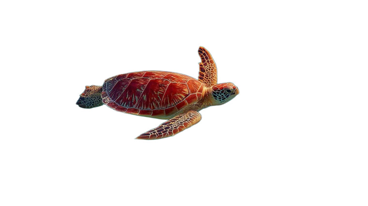 Vibrant Coral Reef Vinyl Car Decal Sticker – Waterproof & UV-Resistant 8"