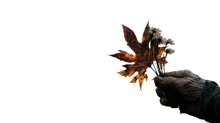 Elderly Holding Flower Vinyl Car Decal Sticker – Waterproof & UV-Resistant 8"