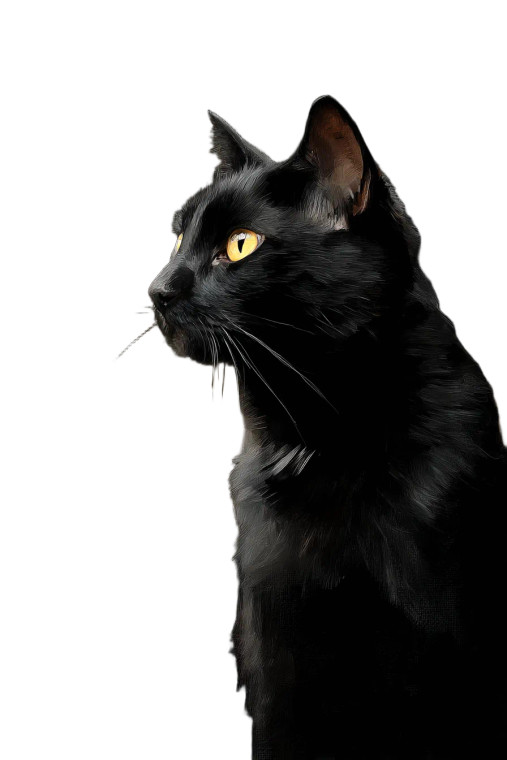 Black Cat V10 Vinyl Car Decal Sticker – Waterproof & UV-Resistant 8"