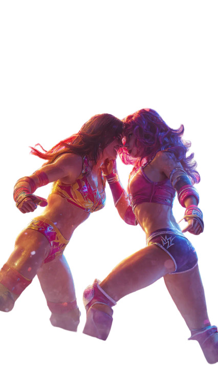 Wwe Wrestlers Tussle Vinyl Car Decal Sticker – Waterproof & UV-Resistant 8"