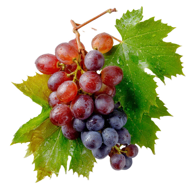 Grapes And Leaves Vinyl Car Decal Sticker – Waterproof & UV-Resistant 8"