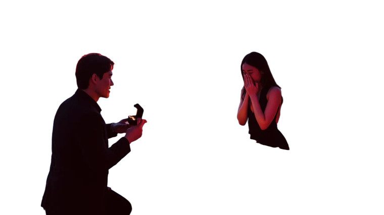 Rooftop Proposal Vinyl Car Decal Sticker – Waterproof & UV-Resistant 8"