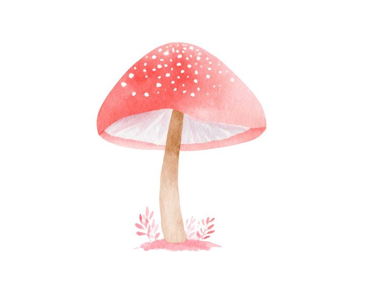 Magical Mushroom V2 Vinyl Car Decal Sticker – Waterproof & UV-Resistant 8"