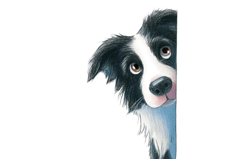 Cute Border Collie V2 Vinyl Car Decal Sticker – Waterproof & UV-Resistant 8"