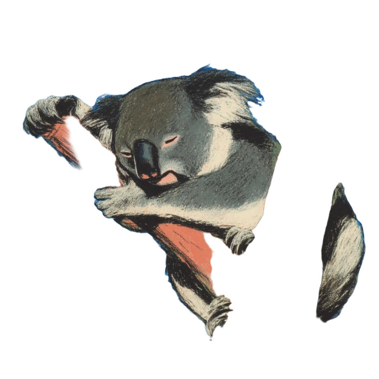 Sleepy Koala Vinyl Car Decal Sticker – Waterproof & UV-Resistant 8"