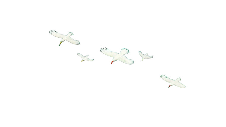 Birds In Jungle Vinyl Car Decal Sticker – Waterproof & UV-Resistant 8"