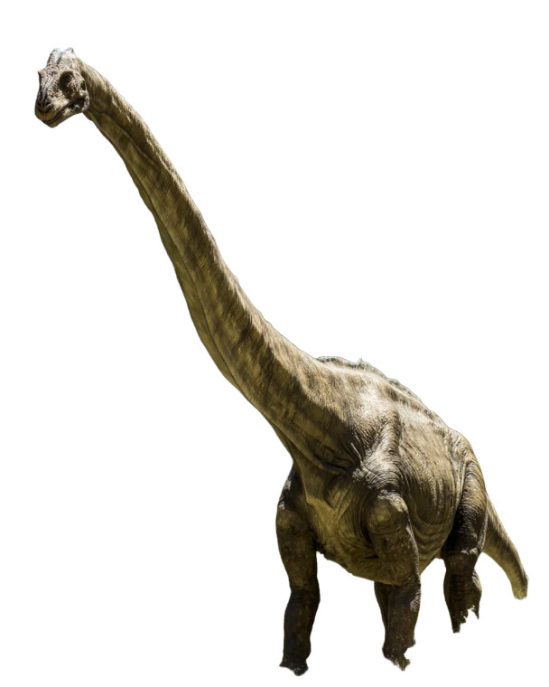 Diplodocus In Forest Vinyl Car Decal Sticker – Waterproof & UV-Resistant 8"