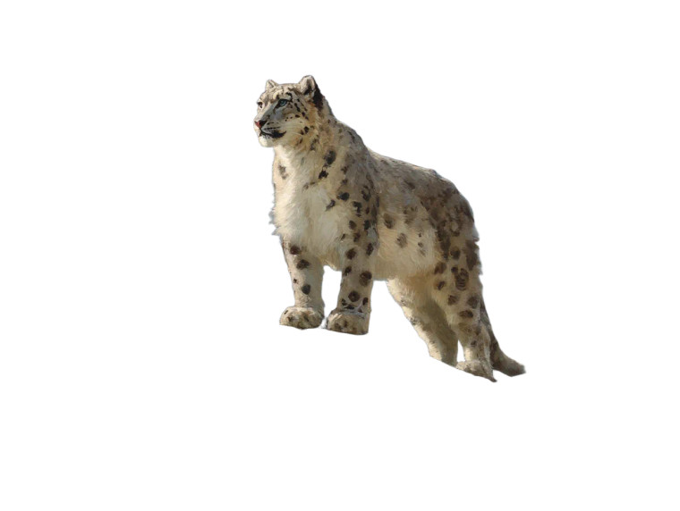 Snow Leopard Painting Vinyl Car Decal Sticker – Waterproof & UV-Resistant 8"