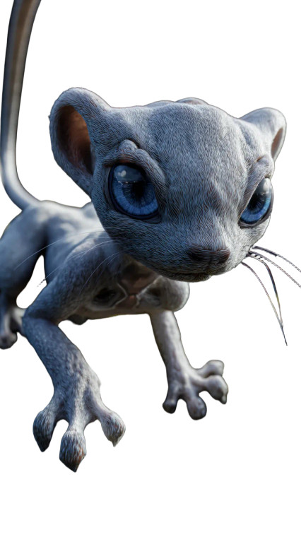 Mew Wildlife Photo Vinyl Car Decal Sticker – Waterproof & UV-Resistant 8"