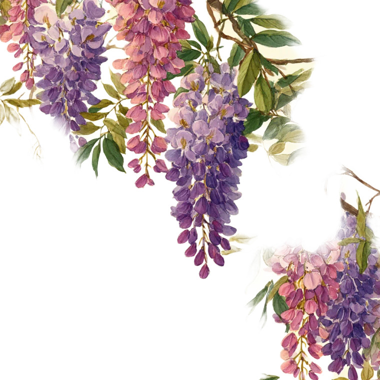 Wisteria Flowers V2 Vinyl Car Decal Sticker – Waterproof & UV-Resistant 8"