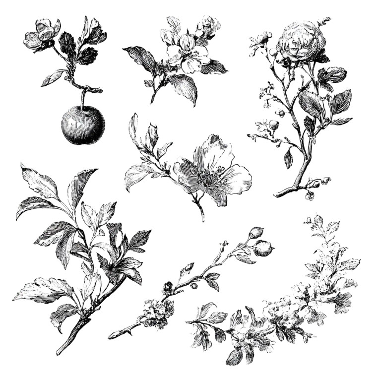 Botanical Illustration Elements Vinyl Car Decal Sticker – Waterproof & UV-Resistant 8"