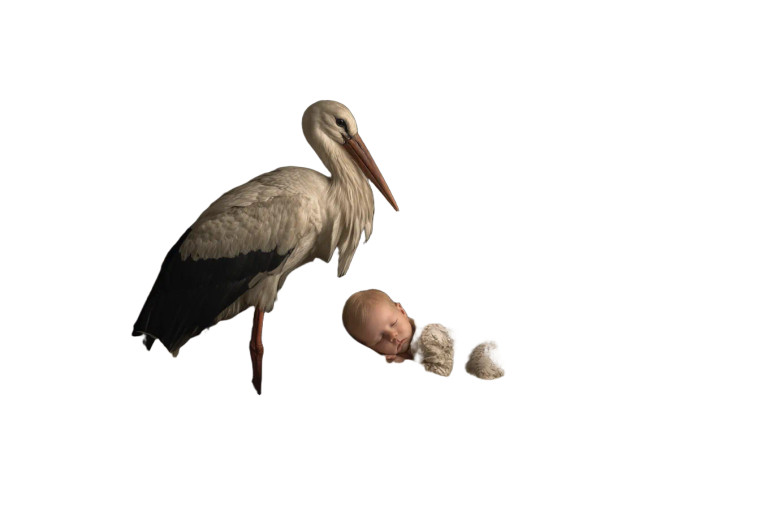 Stork And Newborn Vinyl Car Decal Sticker – Waterproof & UV-Resistant 8"