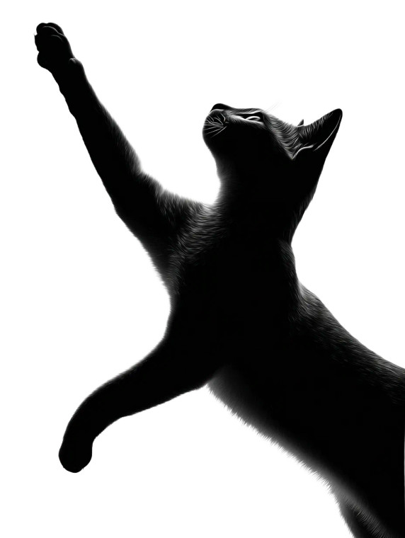 Cat Silhouette Logo Vinyl Car Decal Sticker – Waterproof & UV-Resistant 8"